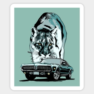 68 Mercury Cougar with cougar cat backdrop, blue/green theme. Sticker